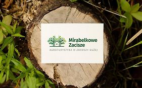 Pokoje Gościnne Mirabelkowe Zacisze